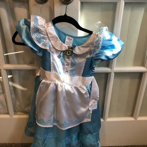 Disney Alice and Wonderland Costume
